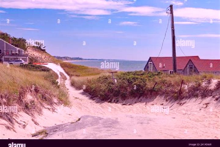 Violet, 22 — Escort in Barnstable, United States