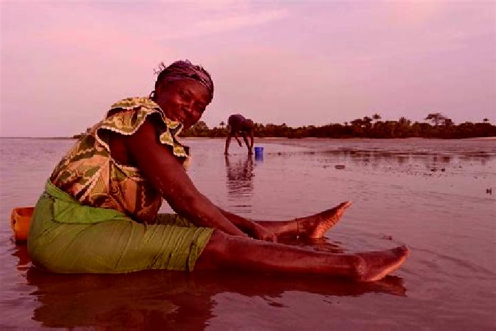 Violet, 22 — Escort in Diganteh, Gambia