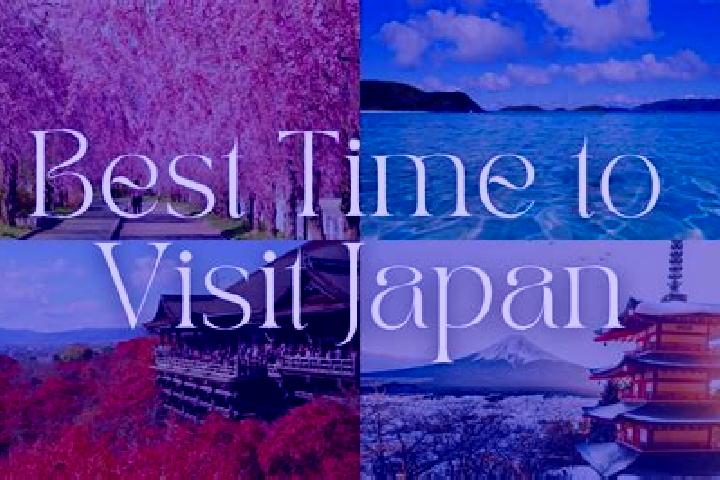 Violet, 22 — Escort in Tsurugashima, Japan