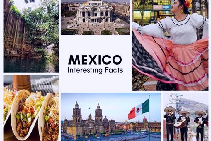 Violet, 22 — Escort in Utatave (Mautillos), Mexico