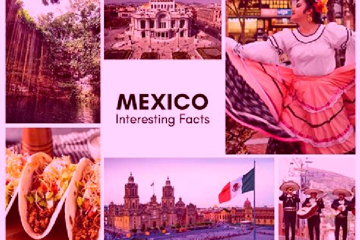 Violet, 23 — Escort in Canindo, Mexico