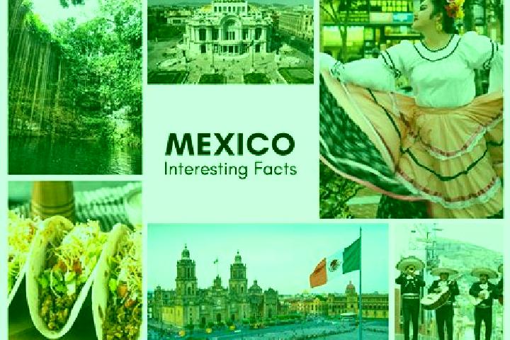 Violet, 23 — Escort in Chiotic, Mexico