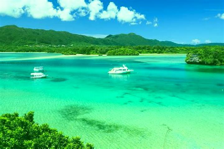 Violet, 23 — Escort in Ishigaki, Japan