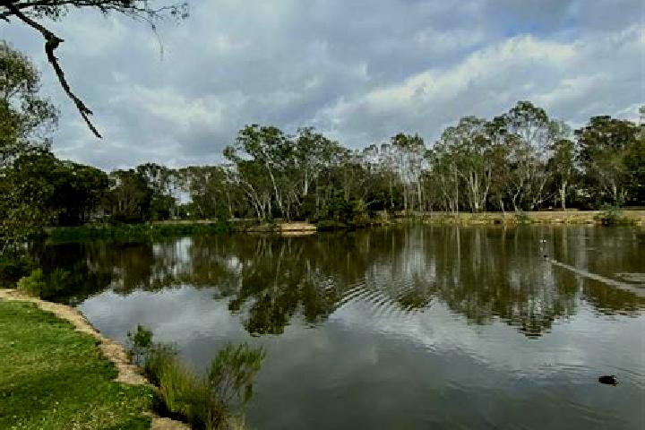 Violet, 23 — Escort in Kangaroo Flat, Australia