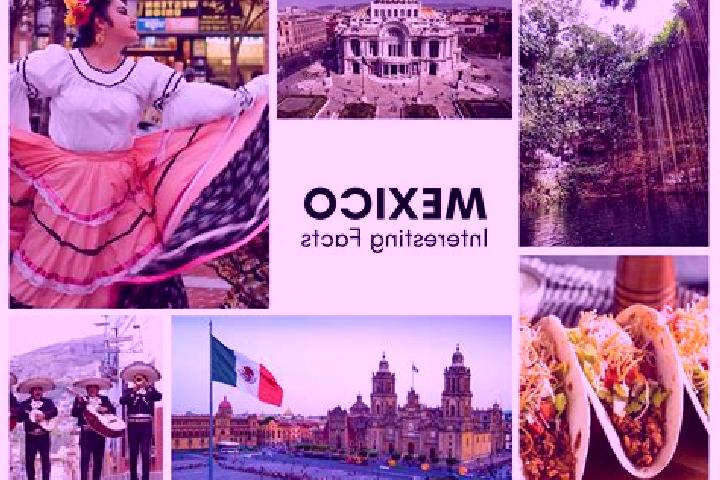 Violet, 23 — Escort in Tecolotitla, Mexico