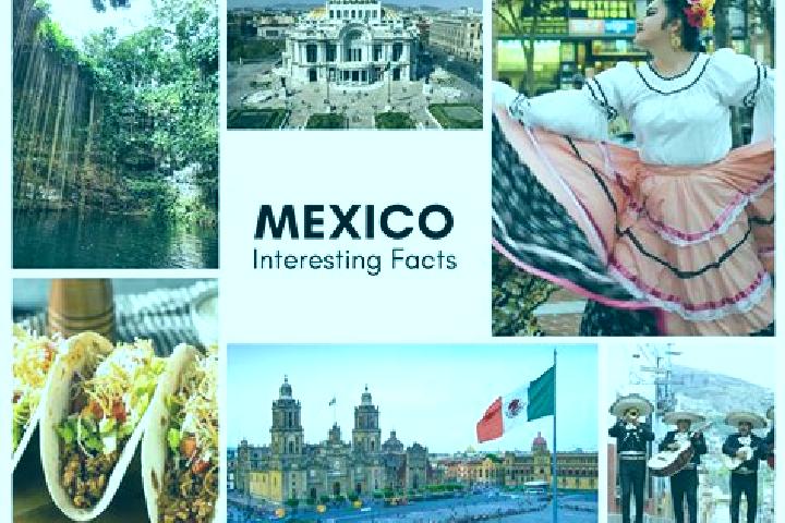 Violet, 23 — Escort in Tepepatlaxco, Mexico
