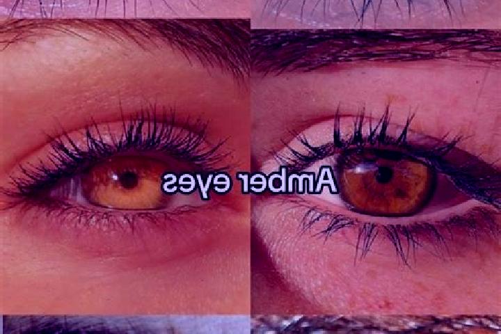 Violet, 24, a chestnut amber-eyed european companion based in Noufre. Offering 69, OWO, Travel Companion, Deep French Kissing. Available for incall and outca...