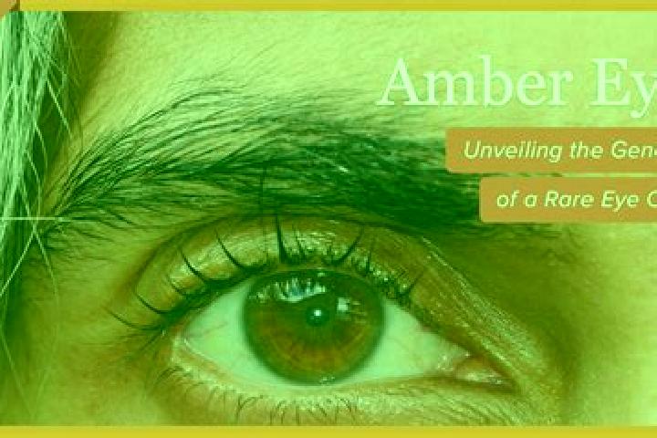 Violet, 24, a red amber-eyed indian companion based in Paranhos. Offering Travel Companion, Overnight, Striptease. Available for incall and outcall, day and ...