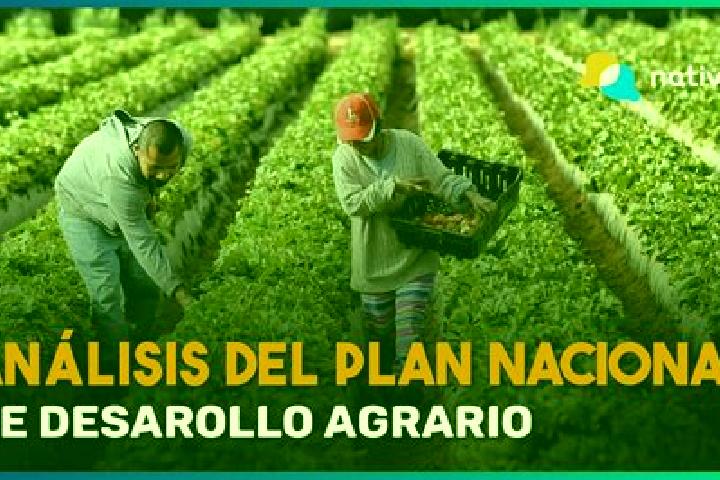 Violet, 24 — Escort in Ejido Plan Nacional Agrario, Mexico