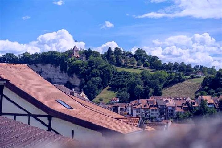 Violet, 24 — Escort in Matran, Switzerland