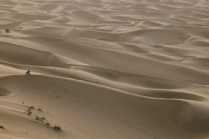 Violet, 24 — Escort in Meharrize, Western Sahara