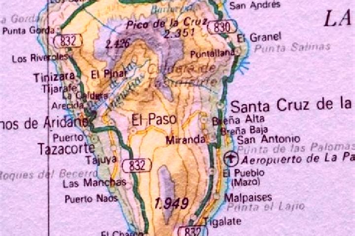 Violet, 24 — Escort in San Francisco de la Palma, Mexico