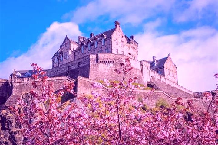 Violet, 24 — Escort in Scotland, United States
