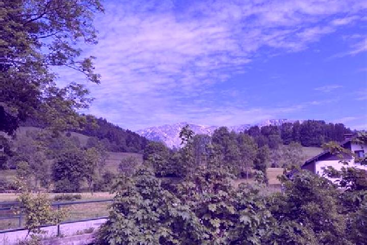 Violet, 24 — Escort in Sierning, Austria