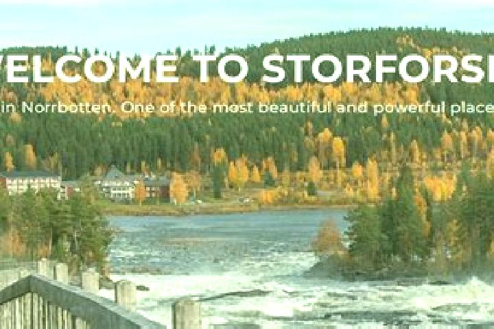 Violet, 24 — Escort in Storfors, Sweden