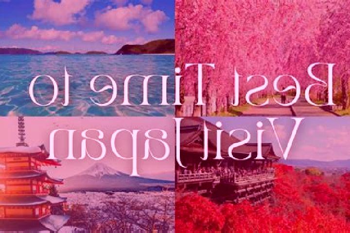Violet, 24 — Escort in Tondabayashicho, Japan