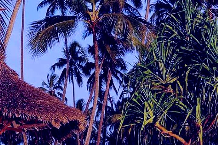 Violet, 24 — Escort in Ulenje, Tanzania