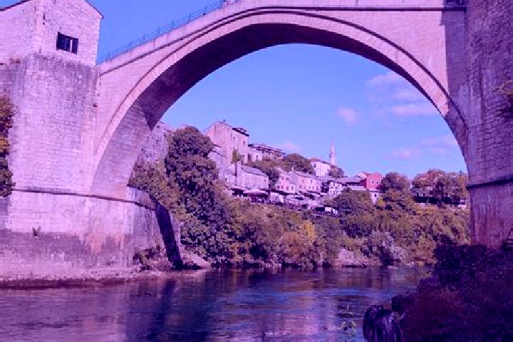 Violet, 24 — Escort in Vitina, Bosnia and Herzegovina