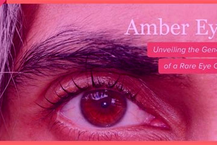 Violet, 25, a black amber-eyed latina companion based in Obara. Offering BDSM, Striptease, Girlfriend Experience, Prostate Massage. Available for incall and ...