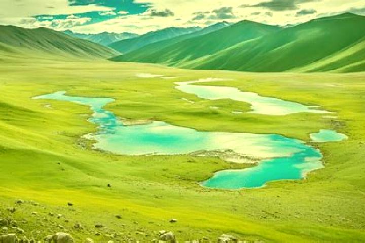 Violet, 25 — Escort in Altan-Ovoo, Mongolia