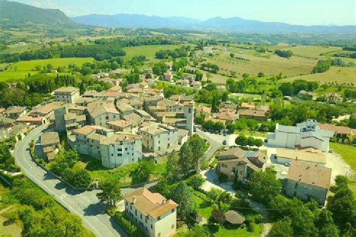 Violet, 25 — Escort in Carpignano Sesia, Italy