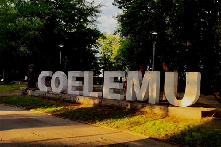 Violet, 25 — Escort in Coelemu, Chile