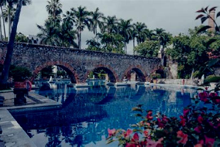 Violet, 25 — Escort in Hacienda Santa Fe, Mexico