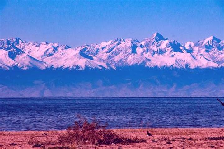 Violet, 25 — Escort in Kara-Kul , Kyrgyzstan