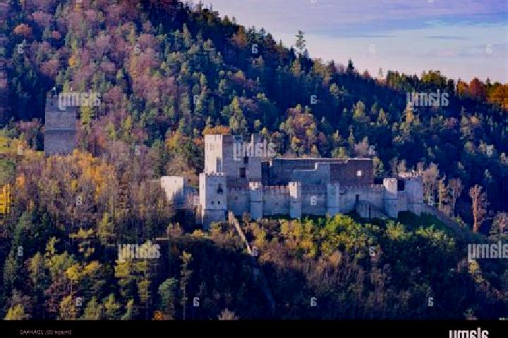 Violet, 25 — Escort in Kirchschlag in der Buckligen Welt, Austria
