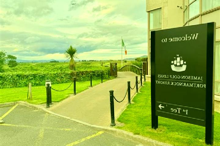 Violet, 25 — Escort in Portmarnock, Ireland