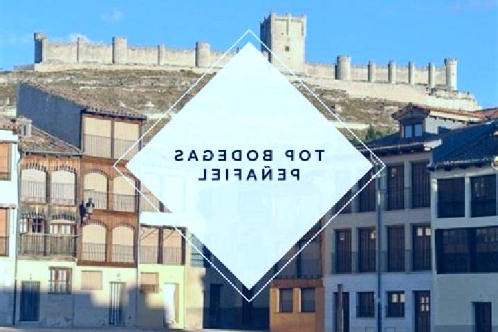 Violet, 25 — Escort in Torre de Penafiel, Spain
