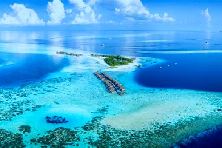Violet, 25 — Escort in Viligili, Maldives