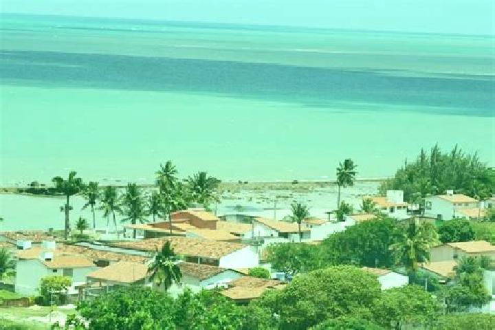 Violet, 26, a red dark-eyed mixed companion based in Ilha de Itamaraca. Offering Overnight, Travel Companion, Tantra, Couples. Available for incall and outca...