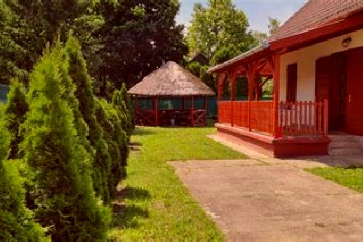 Violet, 26 — Escort in Abadszalok, Hungary