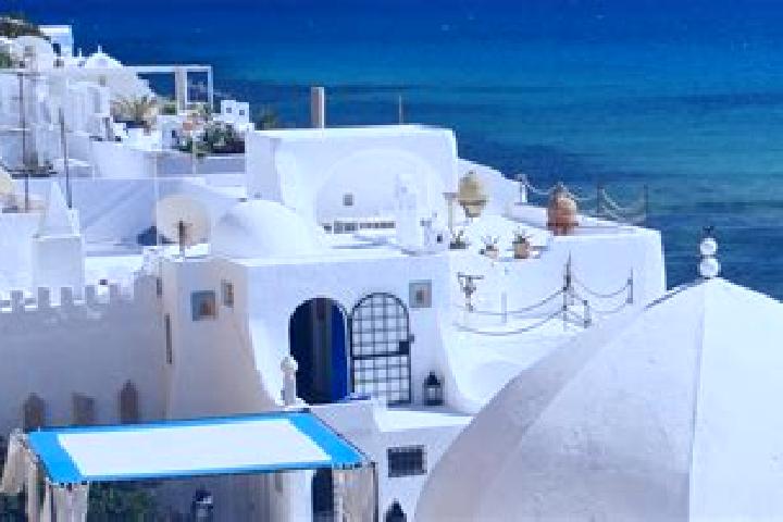 Violet, 26 — Escort in Aousja, Tunisia