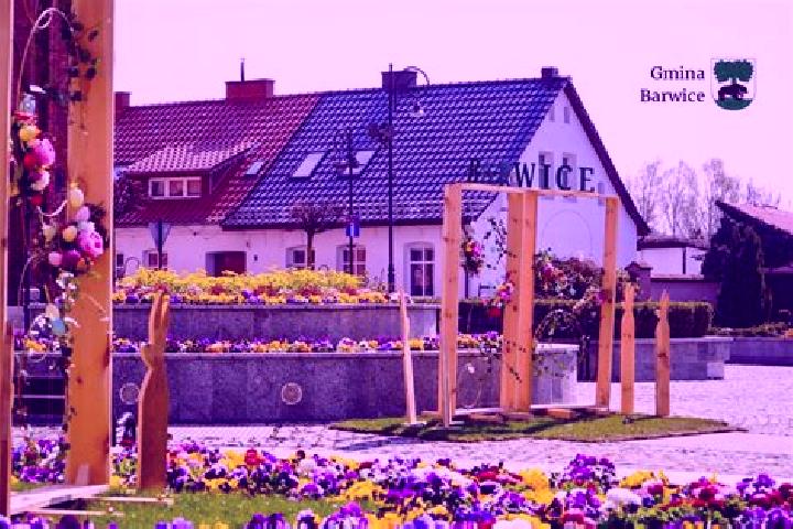 Violet, 26 — Escort in Barwice, Poland