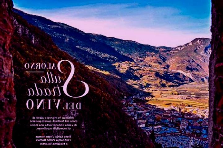 Violet, 26 — Escort in Caldaro sulla Strada del Vino, Italy