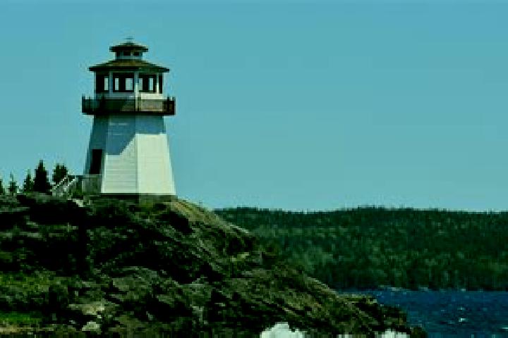 Violet, 26 — Escort in Clarenville-Shoal Harbour, Canada