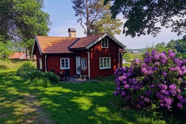 Violet, 26 — Escort in Sollebrunn, Sweden
