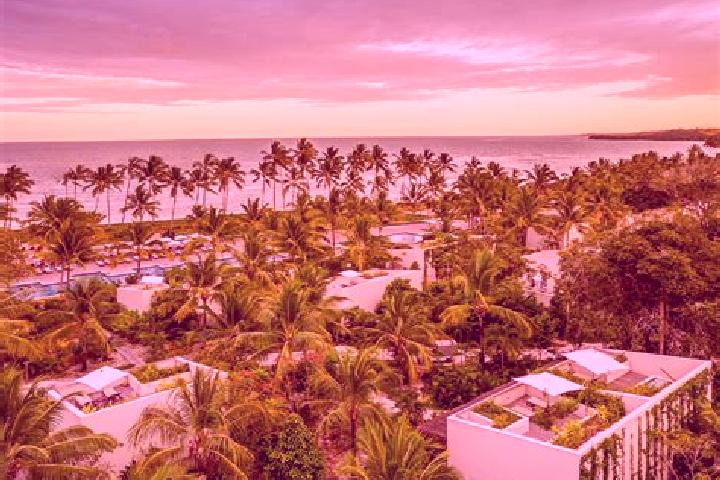 Violet, 26 — Escort in Trancoso, Mexico