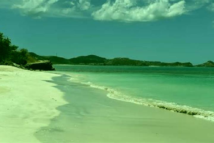 Violet, 26 — Escort in Urlings, Antigua and Barbuda