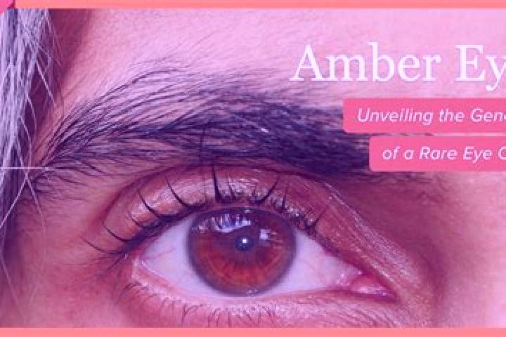 Violet, 27, a black amber-eyed mixed companion based in Baksanenok. Offering Duos, Prostate Massage, Roleplay. Available for incall and outcall, day and even...