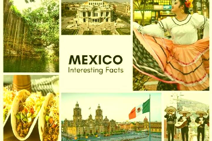 Violet, 27 — Escort in Atexcalco, Mexico