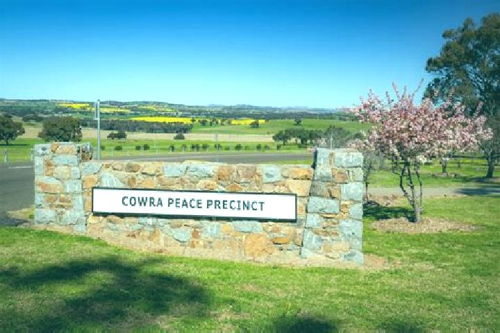 Violet, 27 — Escort in Cowra, Australia