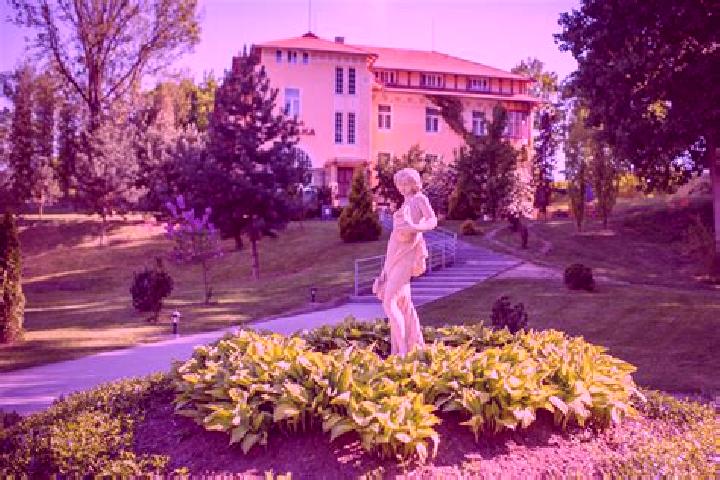 Violet, 27 — Escort in Lazne Tousen, Czech Republic