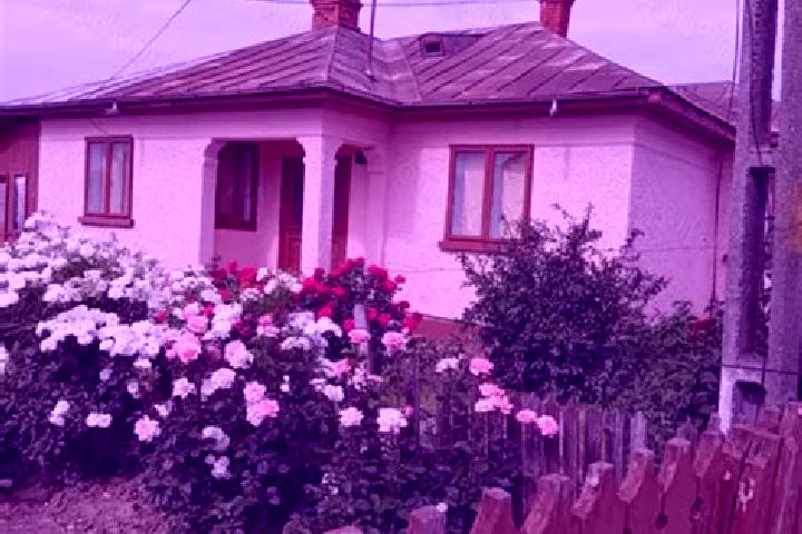Violet, 27 — Escort in Mihalceni, Romania
