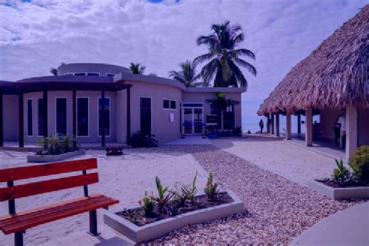 Violet, 27 — Escort in Seine Bight Village, Belize