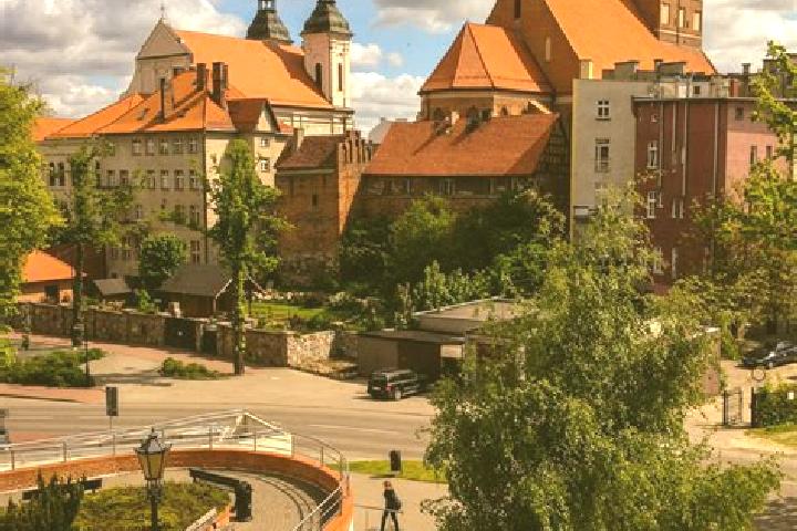 Violet, 27 — Escort in Tuchola, Poland