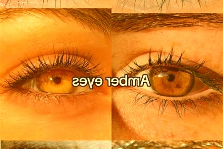 Violet, 28, a chestnut amber-eyed middle eastern companion based in Orlovo. Offering OWO, Overnight, Fetish. Available for incall and outcall, overnight book...