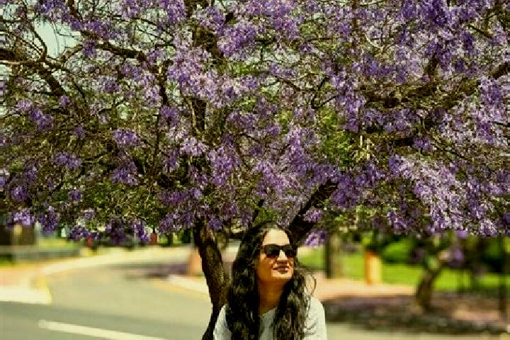 Violet, 28 — Escort in Abha, Saudi Arabia